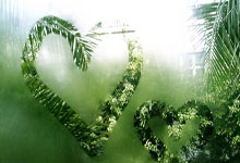 熱水鍋爐不點(diǎn)火是什么原因（熱水器鍋爐不點(diǎn)火故障 ）