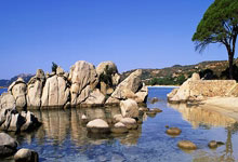 燃?xì)忮仩t和太陽(yáng)能熱水器（燃?xì)忮仩t和太陽(yáng)能熱水器哪個(gè)好 ）